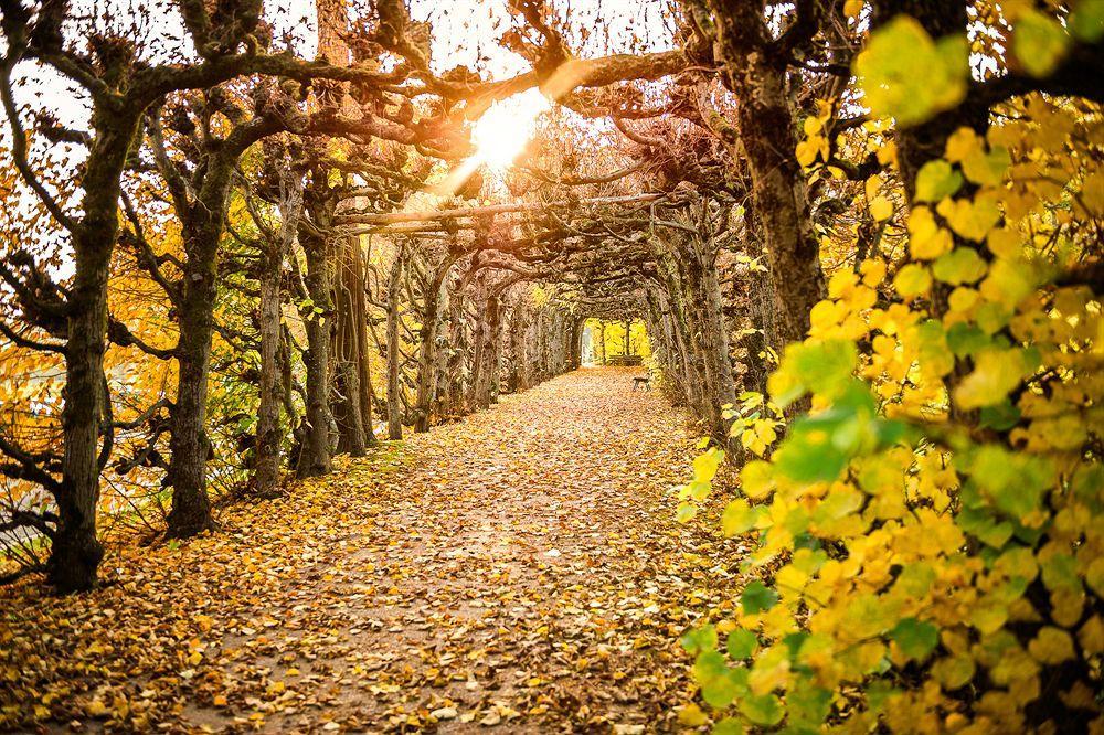 Dorint Resort & Spa Bad Brueckenau Staatsbad Brückenau Zewnętrze zdjęcie